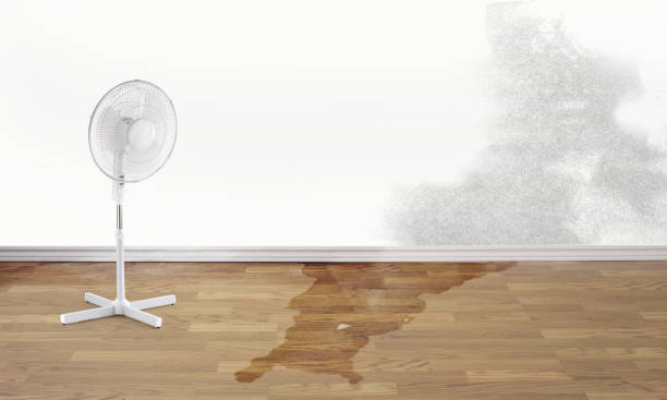 Best Local water damage restoration  in Lewisville, NC