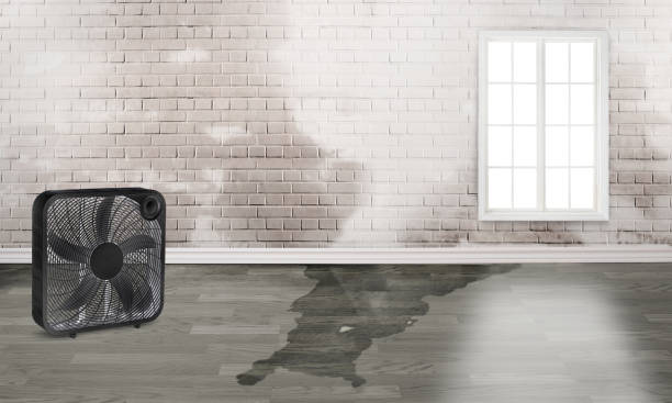 Best Emergency water damage restoration  in Lewisville, NC