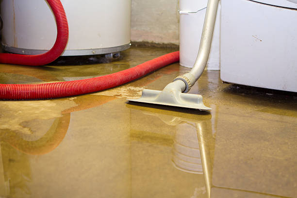 Best Ceiling water damage repair  in Lewisville, NC