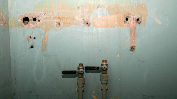 Best 24/7 water damage repair  in Lewisville, NC